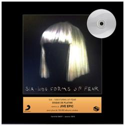 Disque d'or pour SIA, album 1000 forms of fear