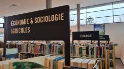 Signalétique des bibliothèques universitaires