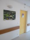 AMAPA - RESIDENCE HUGUETTE HENRY - WOIPPY (57)